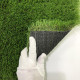 Декоративна трава CCGrass Lissome 45