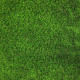 Декоративна трава CCGrass Lissome 45