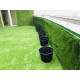 Декоративна трава CCGrass Lissome 45