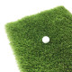 Декоративна трава CCGrass Lissome 45
