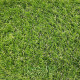 Штучна трава для декору ecoGrass J-40