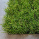 Штучна трава для декору ecoGrass J-40