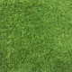 Штучна трава для декору ecoGrass U-20