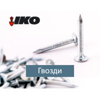 Цвях покрівельний кільцевий 3.1 x 30 К б/ц (уп 5 кг/1)