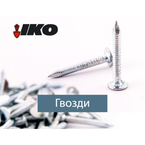 Цвях покрівельний кільцевий 3.1 x 30 К б/ц (уп 5 кг/1)