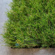 Штучна трава для декору ecoGrass J-40