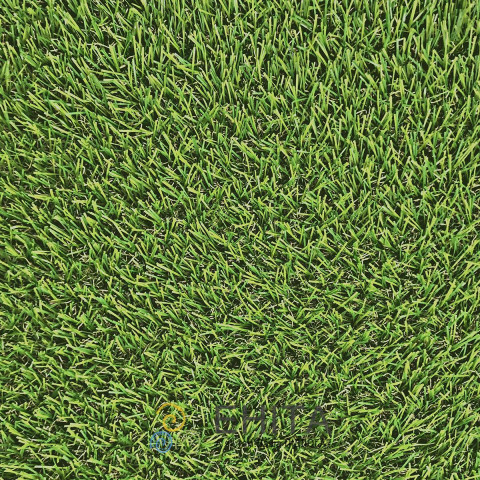 Ландшафтна трава CCGrass Cam 28