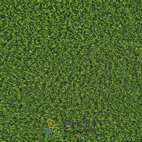 Декоративна трава CCGrass Lissome 45