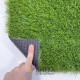 Штучна трава для декору ecoGrass SD-35