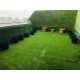 Декоративна трава CCGrass Lissome 45