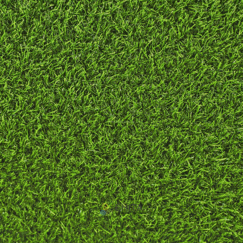 Штучна трава для декору ecoGrass SD-35