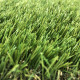 Декоративна трава CCGrass Soft 35
