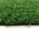 Штучна трава для вулиці ecoGrass SD-15
