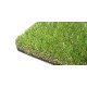 Декоративна трава CCGrass Soft 35