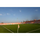 Штучна трава для футбольного поля EcoGrass Football 40
