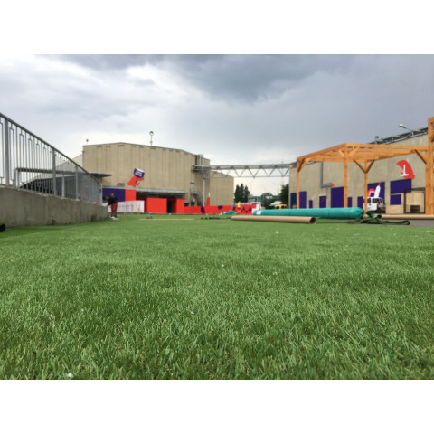 Декоративна трава CCGrass Soft 35