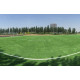 Трава для футболу CCGrass Ultrasport 50