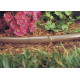 Крапельна трубка Rivulis Hydrobloom PC Brown